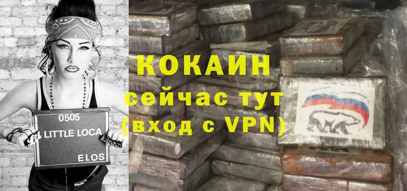 Cocaine Эквадор  купить   KRAKEN ссылка  Алзамай 